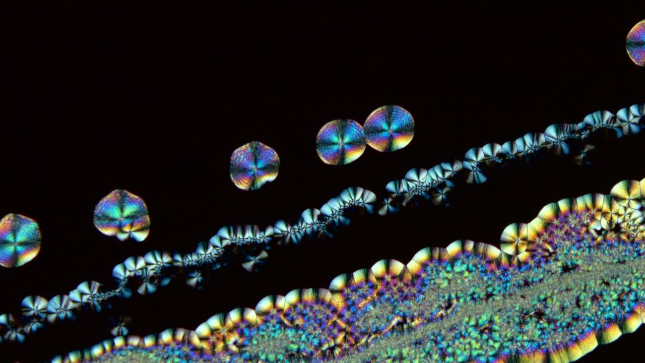 维生素C晶体生长，光学显微镜视频下载