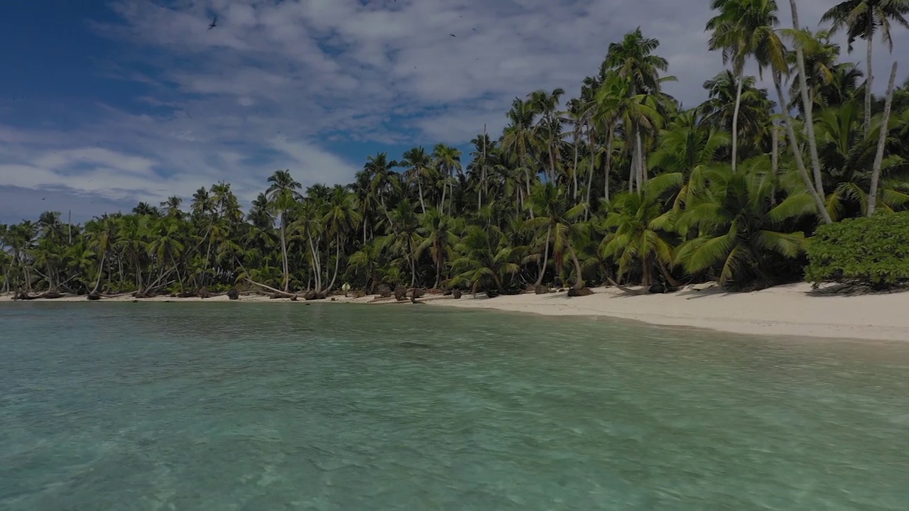 印度洋岛屿礁鲨和飞鸟-无人机飞行视频下载