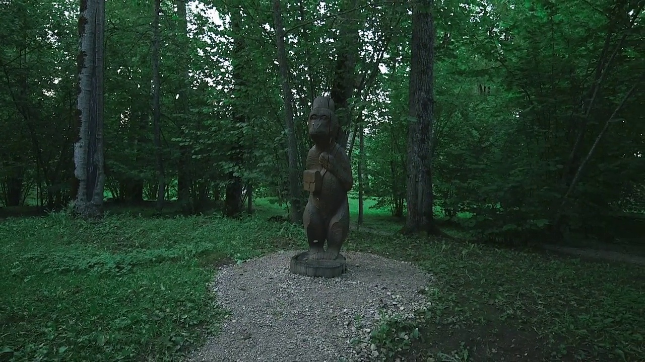 公园里有趣的猴子护士木制雕像视频素材