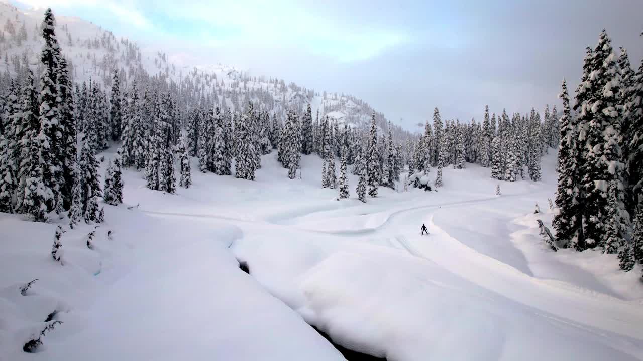 女子越野滑雪视频下载