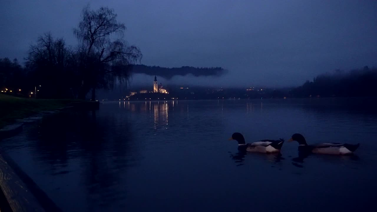 斯洛文尼亚布莱德湖地标教堂城堡在岛上的灯光照亮在寒冷的冬夜低云山背景视频素材