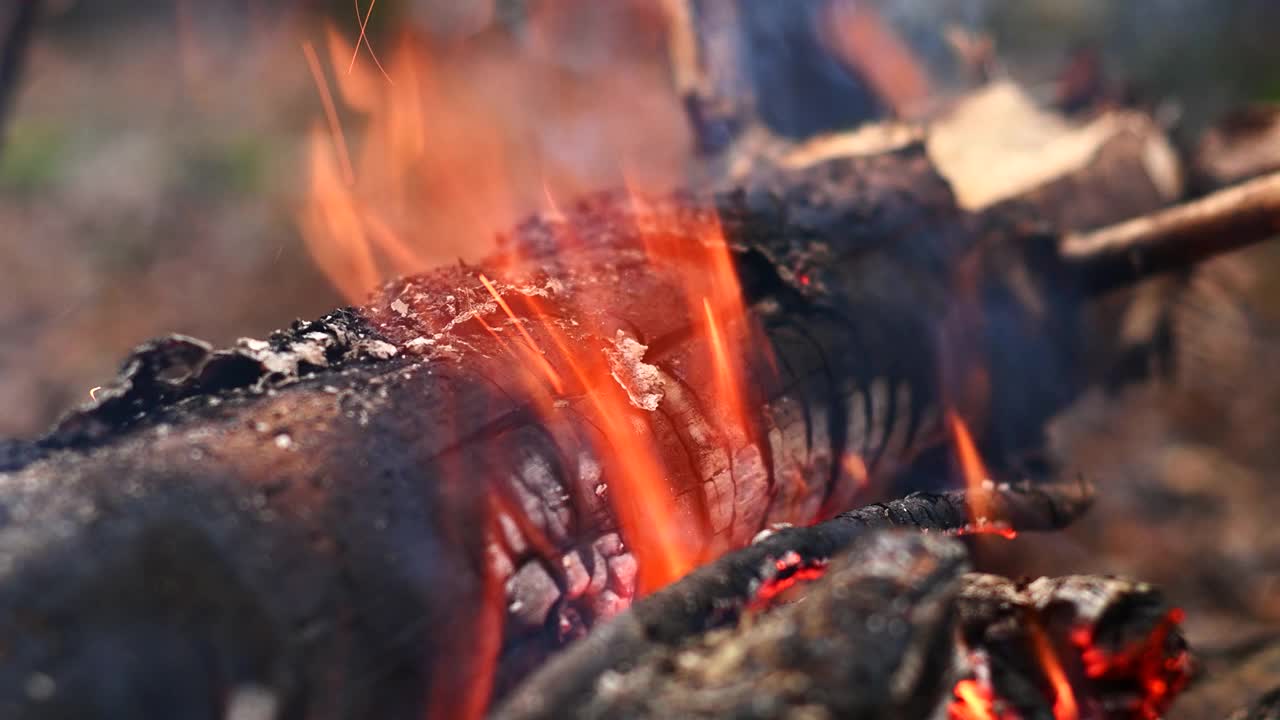 在火焰中烧焦的木头视频素材