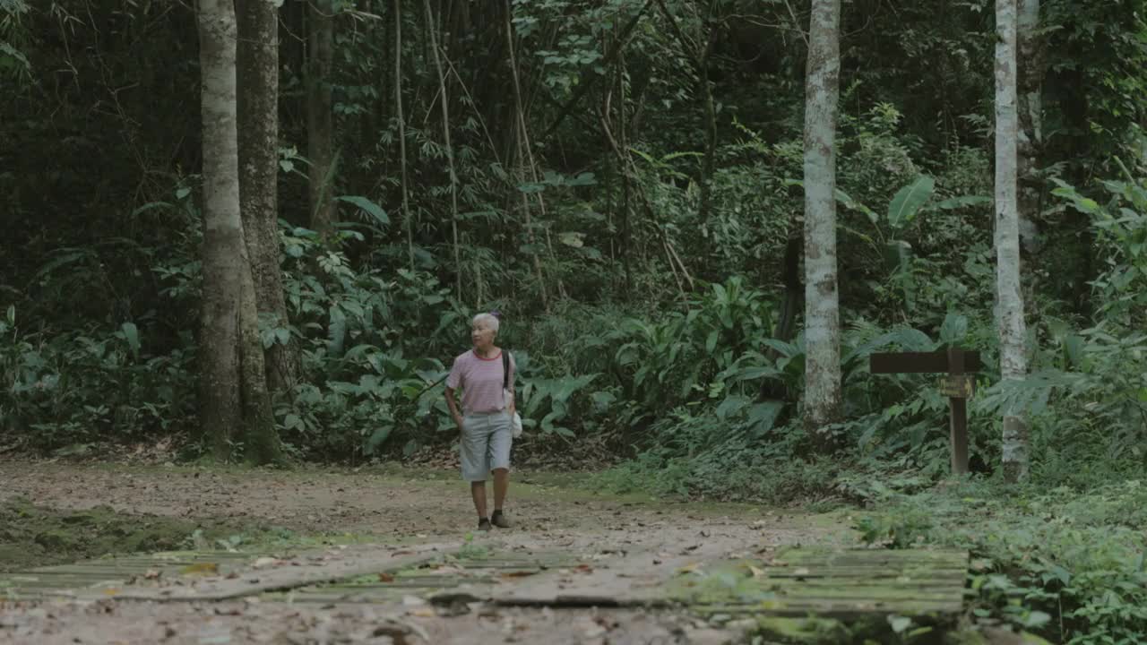 时髦的成年女游客在森林里放松。视频下载