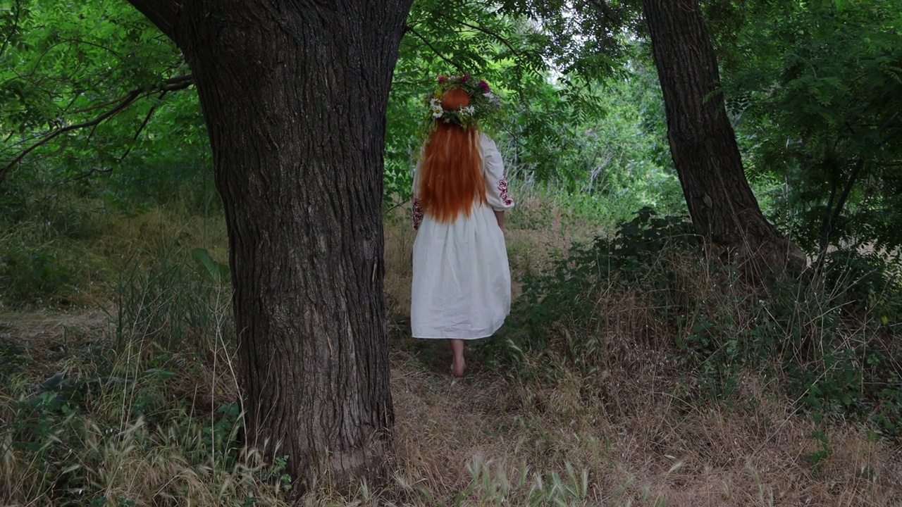 异教信仰。美丽的女孩，红色的长发，戴着花冠，穿着刺绣的民族服装，走在树林里。童话人物，森林精灵，mavka，仙女。4 k的决议视频下载