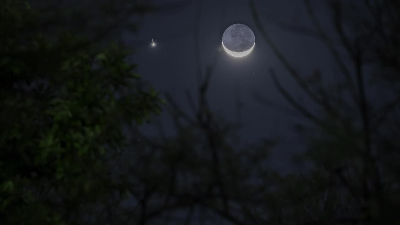 印度马哈拉施特拉邦，月亮和金星落在树木和山脉后面的时间流逝视频下载