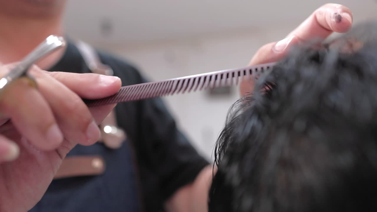 发型师在现代沙龙用剪刀梳理和剪头发视频素材