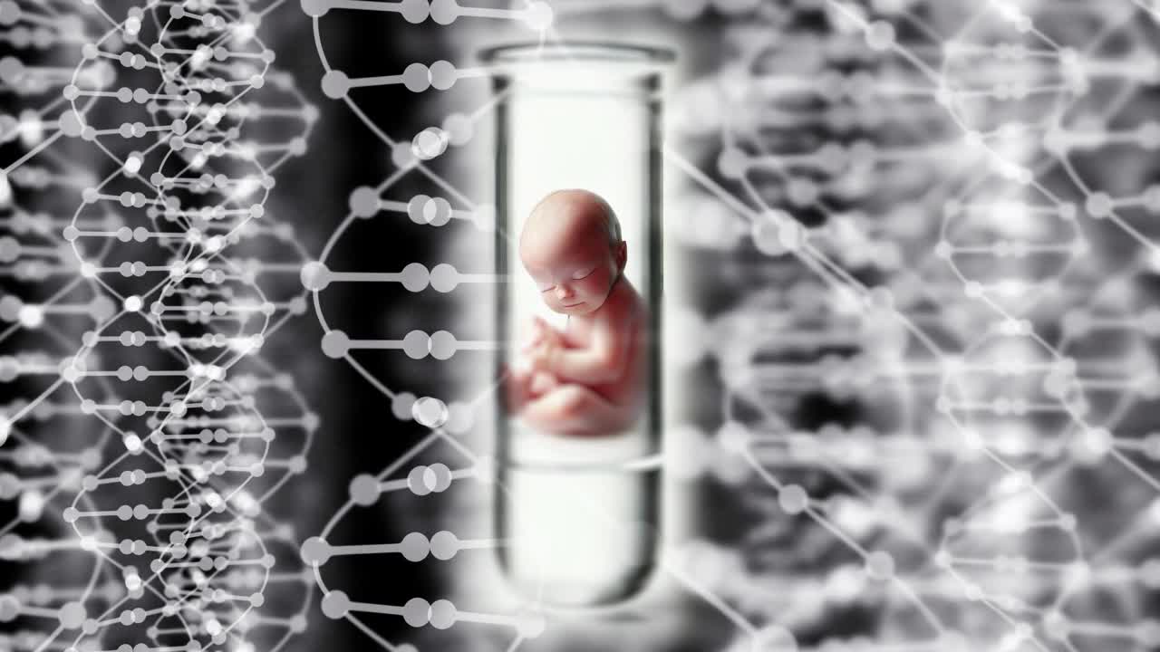 有DNA背景的试管婴儿。视频下载