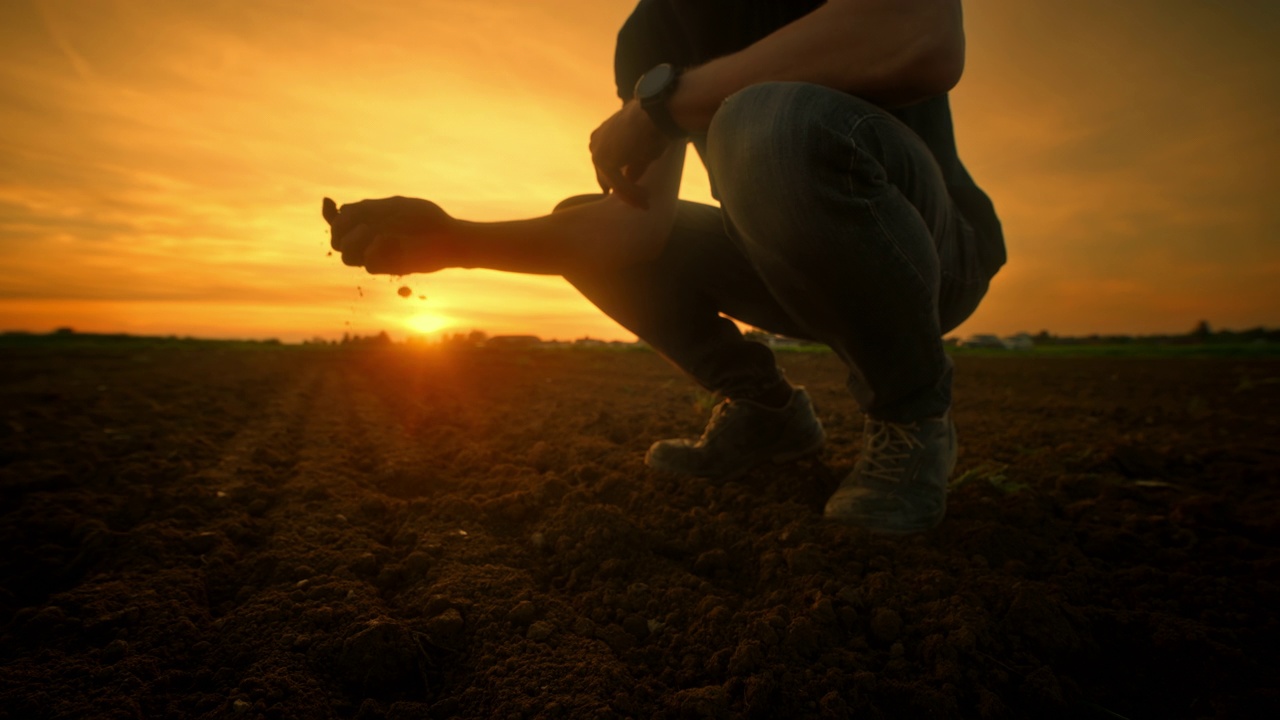 农民在日落时检查土壤以获得最佳作物生长的特写视频素材