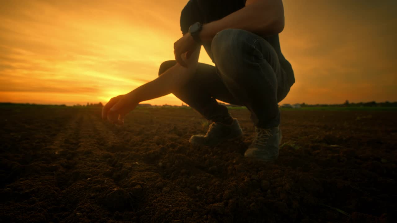 农民在日落时检查土壤以获得最佳作物生长的特写视频素材
