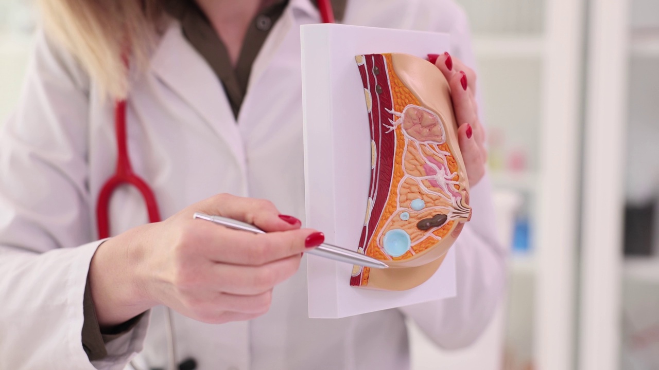 医生妇科医生展示女性乳房与疾病的解剖模型特写4k电影慢动作视频下载