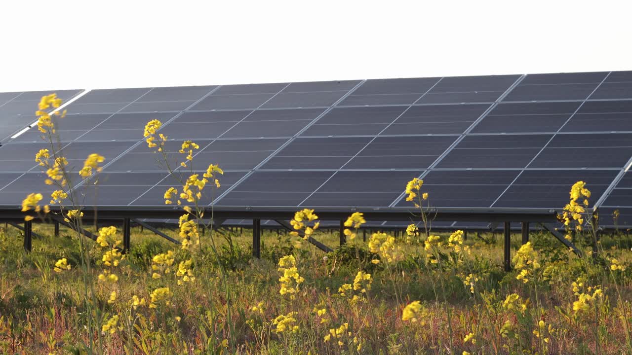 光伏绿色能源，文字空间，油菜花，草地，有风的日子里的太阳能电池板。视频下载