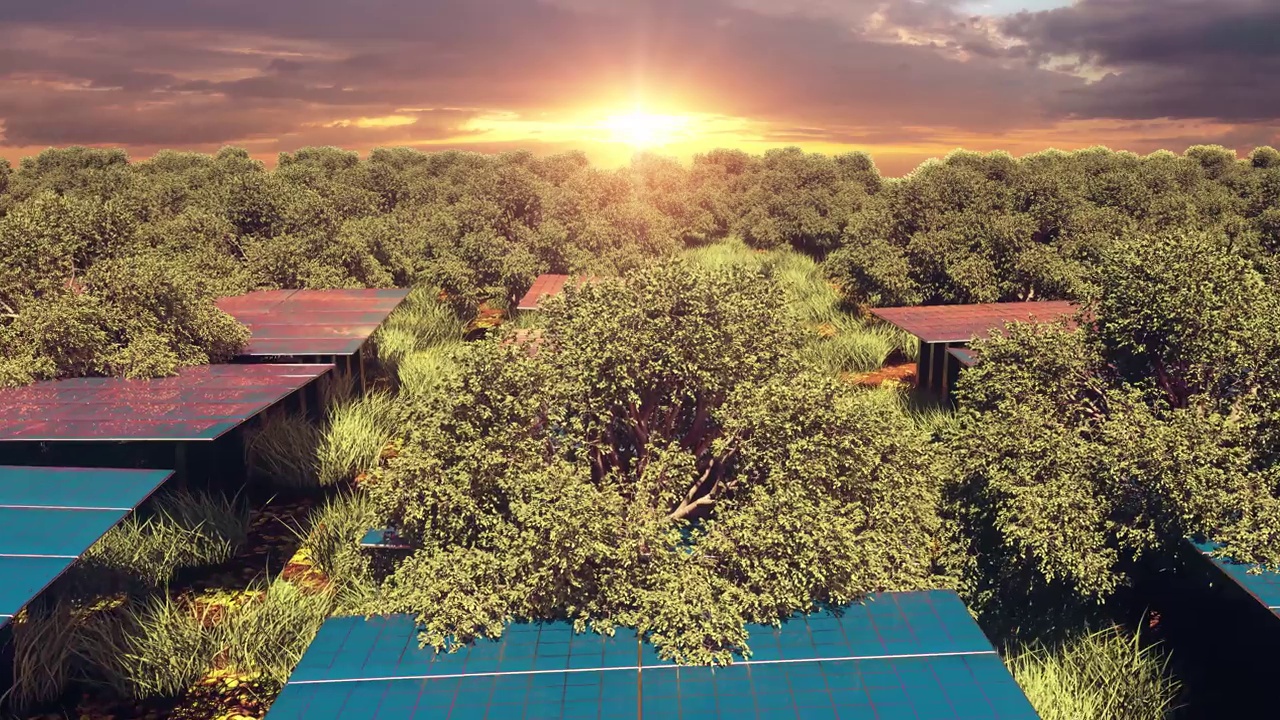 森林中的太阳能农场，视频下载