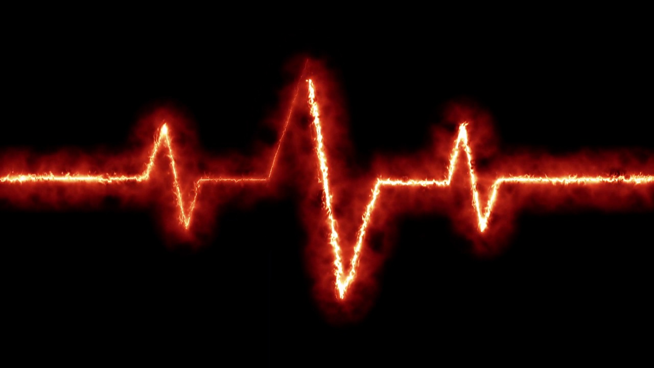 心跳速率和脉搏波信号动画。rs_1507视频下载
