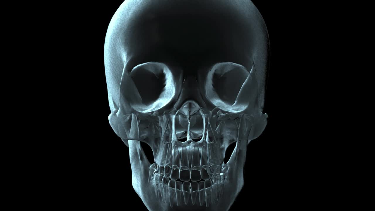 x光侠29:一个人类头骨旋转的3D医学动画。视频下载