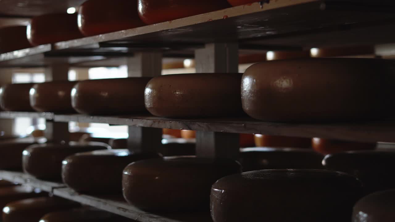 奶酪厂货架上生产有老奶酪和新奶酪。食品制造概念视频下载