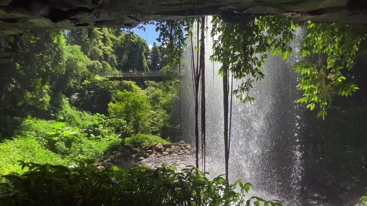 水晶淋浴瀑布Dorrigo新南威尔士州澳大利亚视频下载