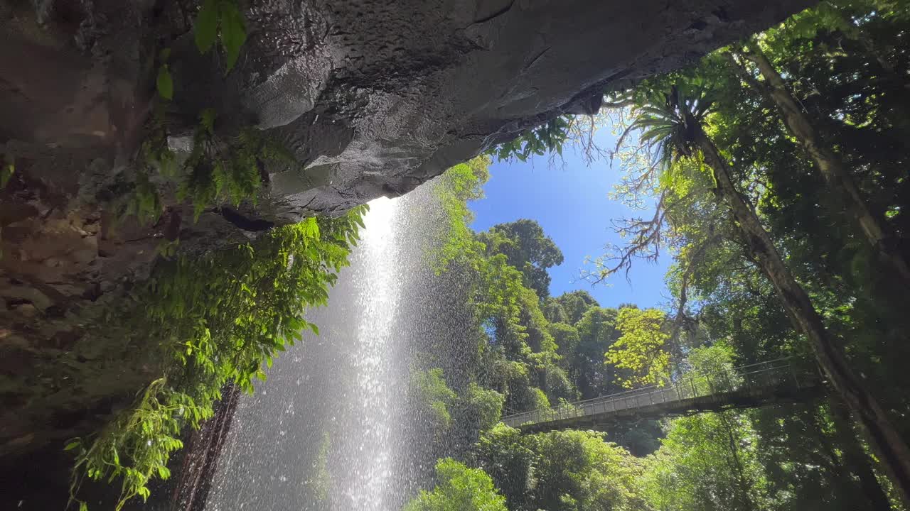 水晶淋浴瀑布Dorrigo新南威尔士州澳大利亚视频下载