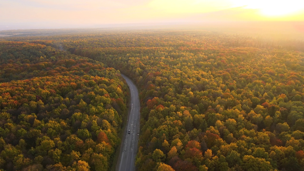 日落时分，在色彩斑斓的树林之间，从上面看乡间小路。阳光明媚的傍晚，在秋天的森林里，狭窄的公路被黄色和橙色的树冠包围着。秋天的野生自然景观视频下载