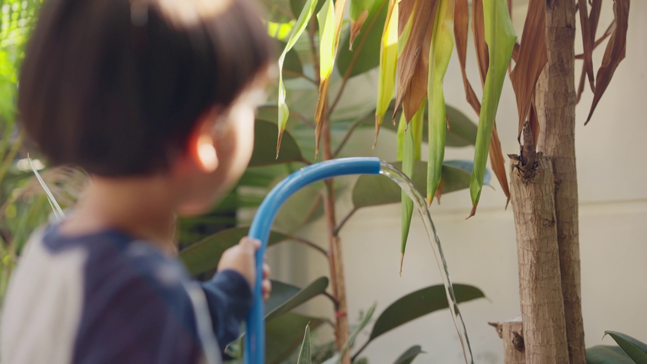 母亲和儿子一起给植物浇水。视频素材
