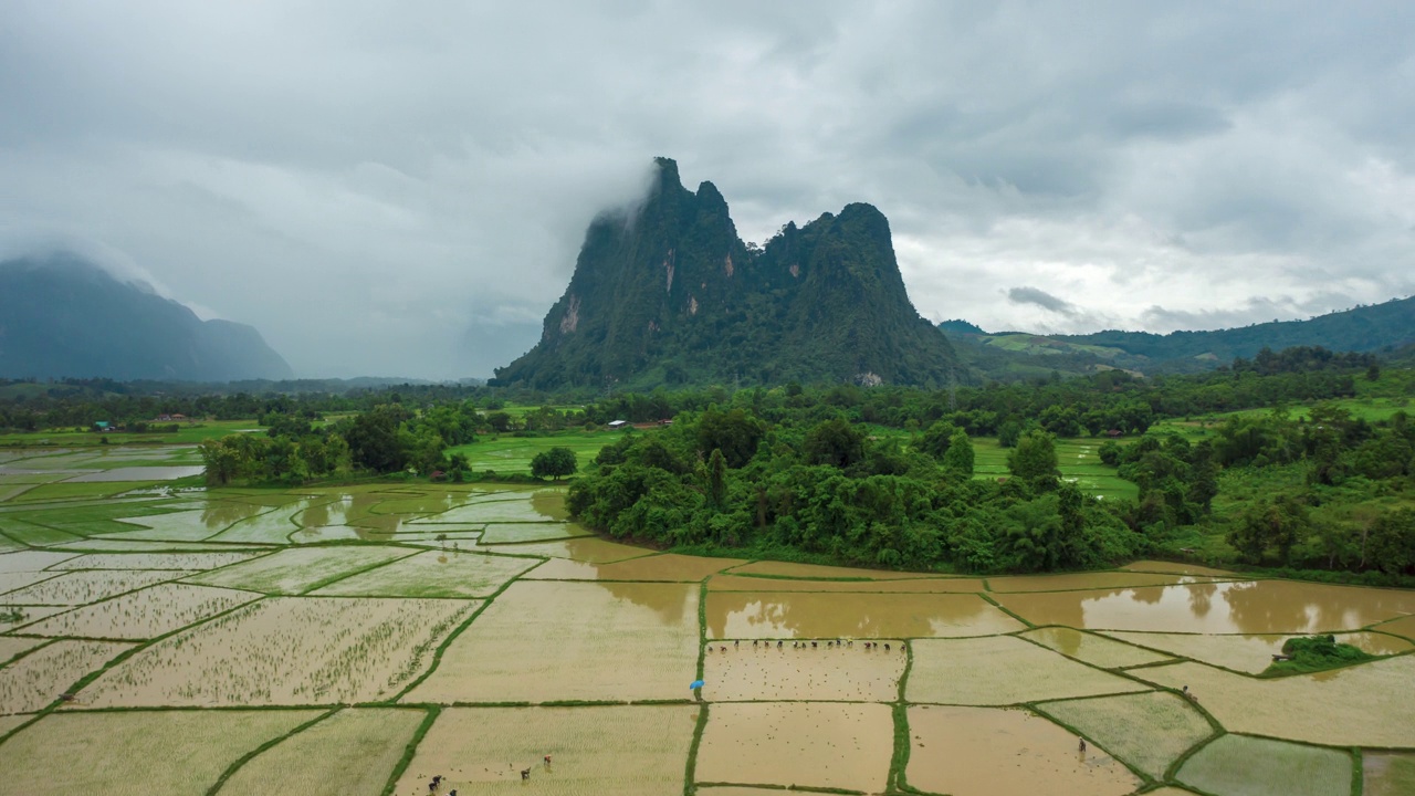 鸟瞰图:老挝曼芳的稻田视频下载