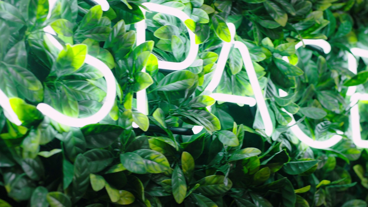 发光的霓虹灯招牌广告业务工作空间明亮充满活力的标牌绿色植物墙壁室内办公室工作场所跟踪视频下载