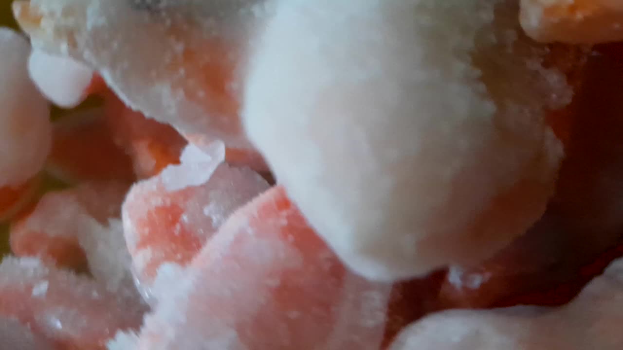 冷冻虾视频素材