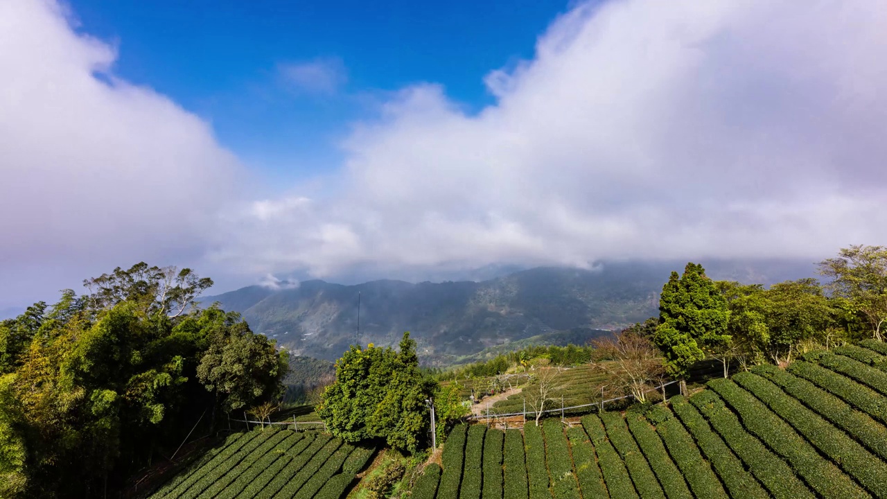 延时——台湾茶园上空壮观的云朵视频下载