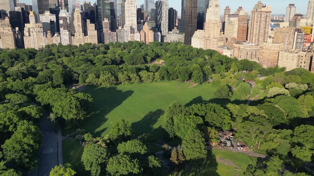 无人机拍摄的绵羊草地在中央公园，曼哈顿，美国纽约视频下载