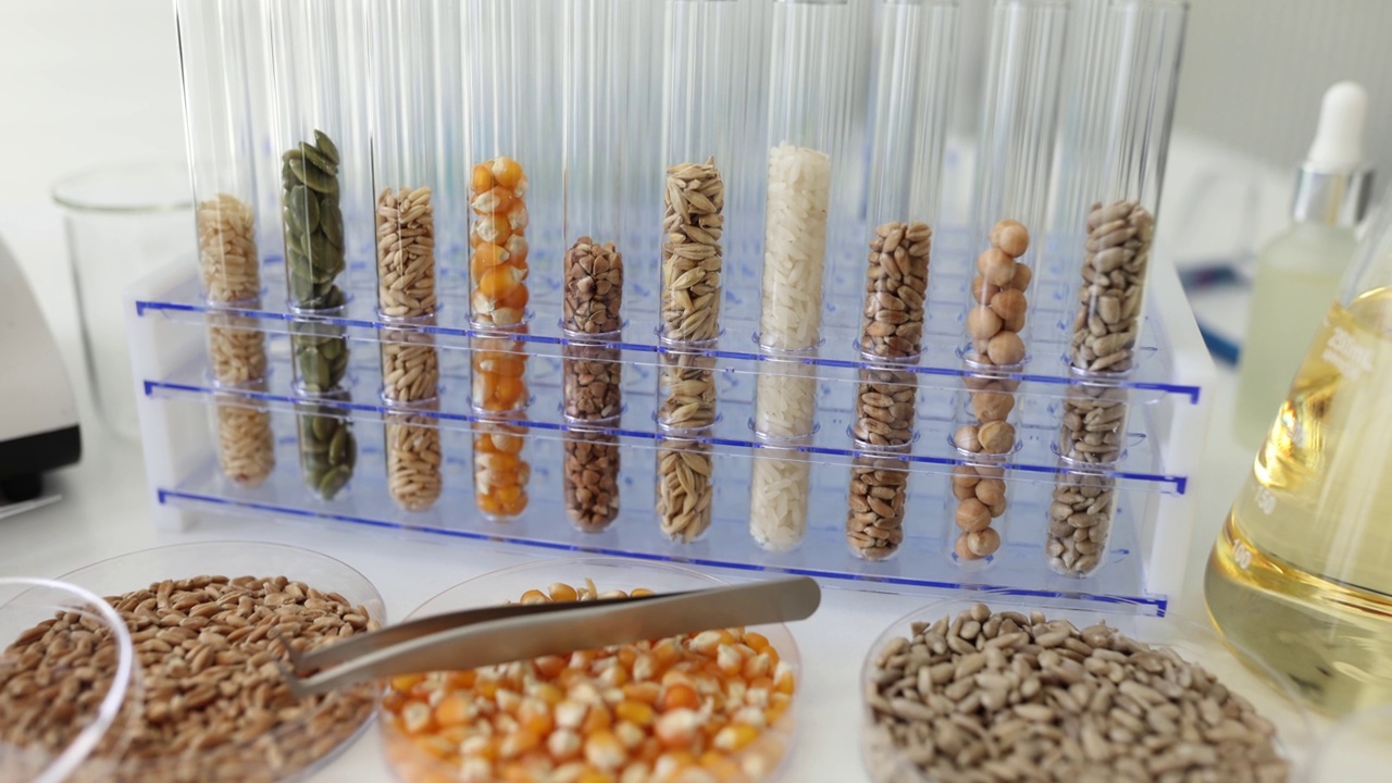 谷物和育种植物的谷物试管和实验室显微镜视频下载