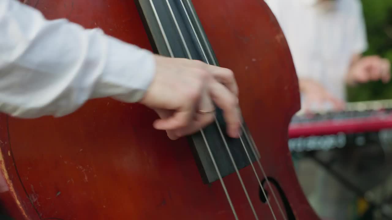 低音提琴。手在弹奏低音乐器。视频下载