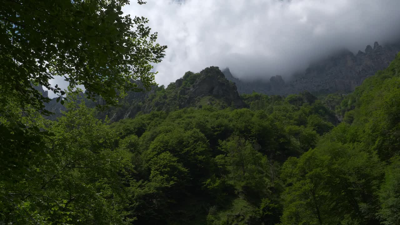 山林白云石山上绿树成荫，白云石山上的岩石被低云覆盖视频下载