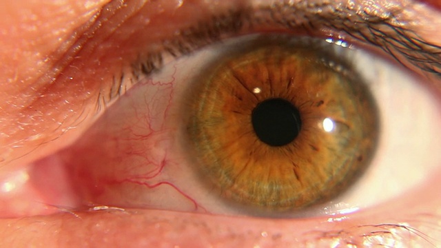 宏观人类眼球与详细的眼睛聚焦视频下载