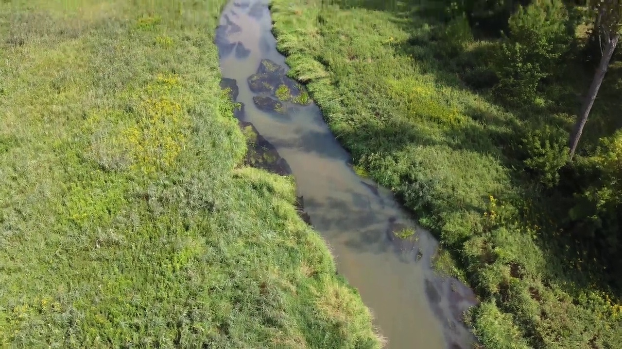 长长的蜿蜒的河流蜿蜒在绿色的森林旁边，航拍，无人机视图。欧洲，波兰自然生态系统状态，自然，乡村，农村地区河流。生态、环保、自然视频下载