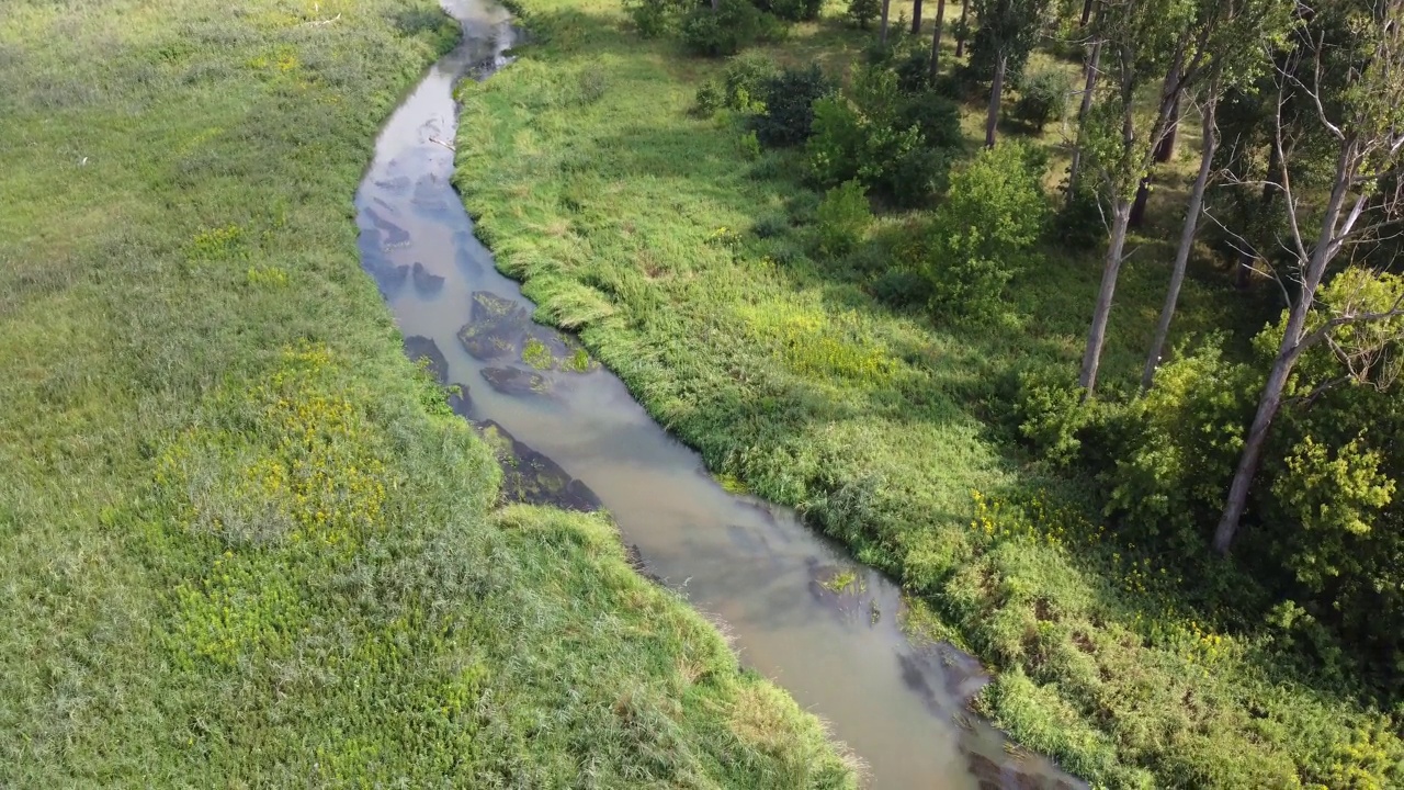 长长的蜿蜒的河流蜿蜒在绿色的森林旁边，航拍，无人机视图。欧洲，波兰自然生态系统状态，自然，乡村，农村地区河流。生态、环保、自然视频下载