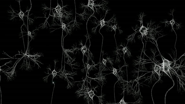 大脑细胞网络视频素材
