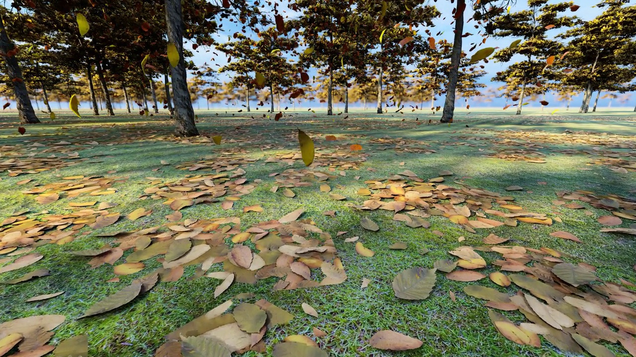 深秋的树林里金色树叶飘落的慢动作视频下载