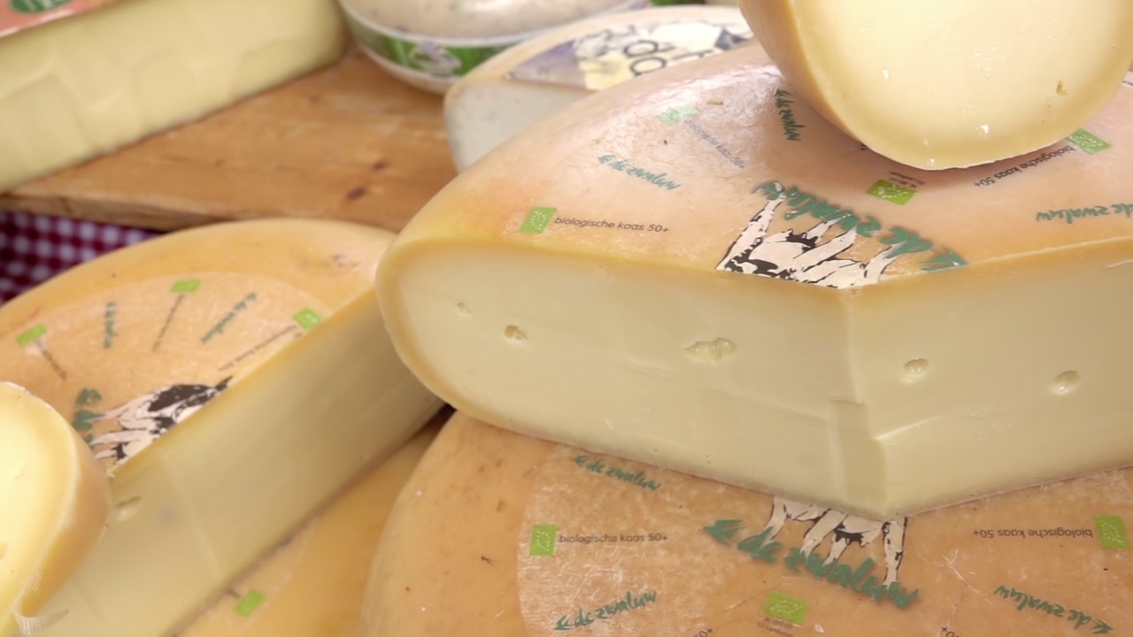 阿姆斯特丹农贸市场上的新鲜奶酪头视频下载