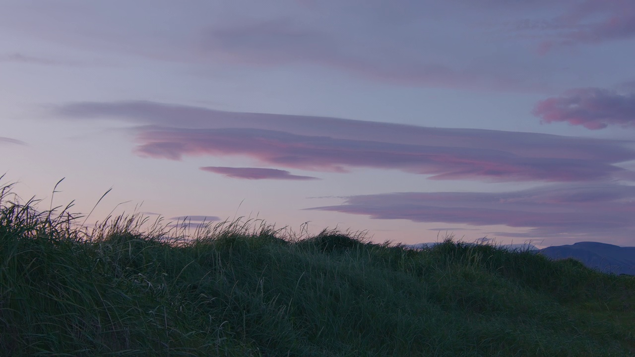 鸟儿在风中飞过海草，冰岛午夜太阳的慢动作视频下载
