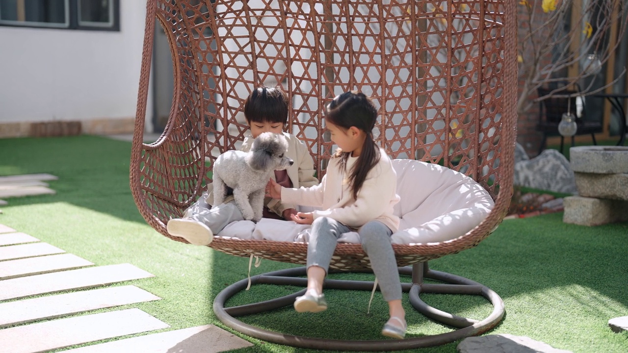 快乐的小孩和宠物狗坐在吊椅上，4K视频下载