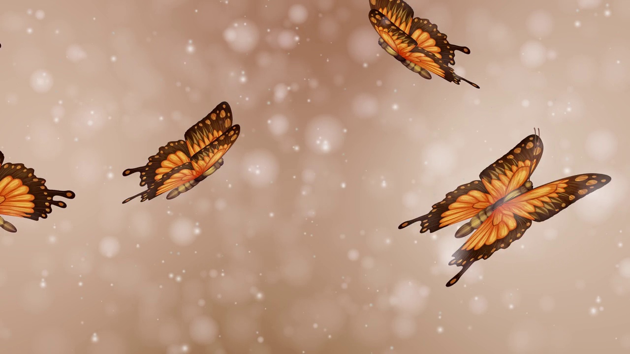 美丽的蝴蝶在闪闪发光的循环背景飞行视频下载