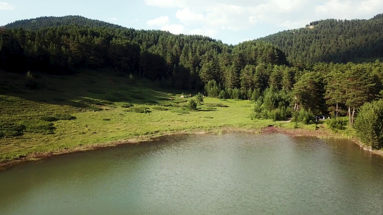 飞越有湖泊和森林的荒野景观视频素材