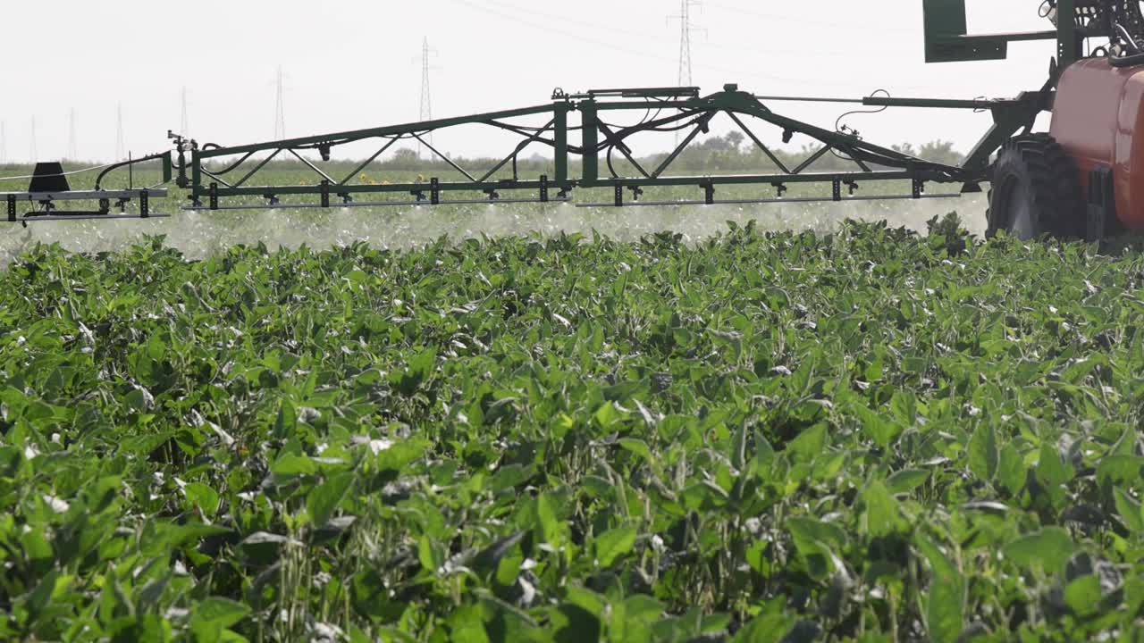作物喷雾器在大豆地里喷洒农药视频素材
