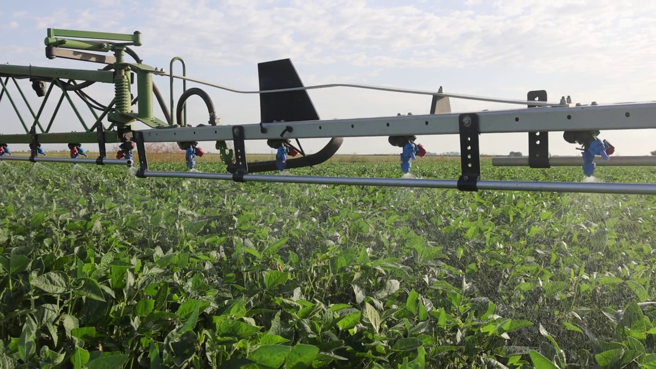 作物喷雾器在大豆地里喷洒农药视频素材