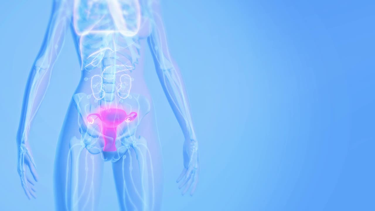 子宫癌医学概念。视频下载