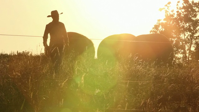 牛仔牧场主在日出时穿过田野视频素材