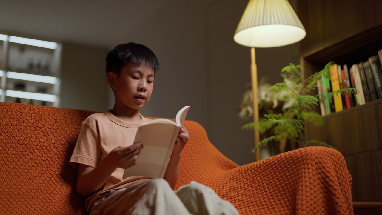 一个亚洲男孩晚上坐在沙发上看书视频下载