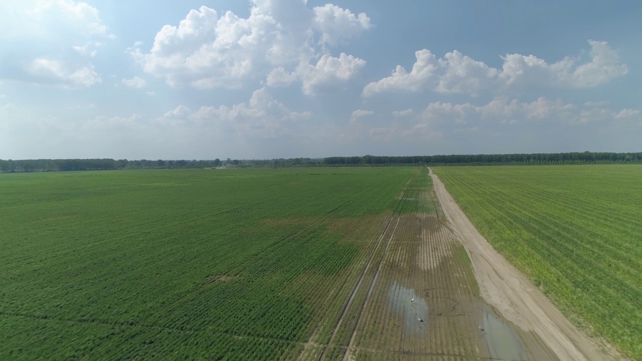 拖拉机在农田里喷洒农机油箱无人机拍摄晴天视频素材