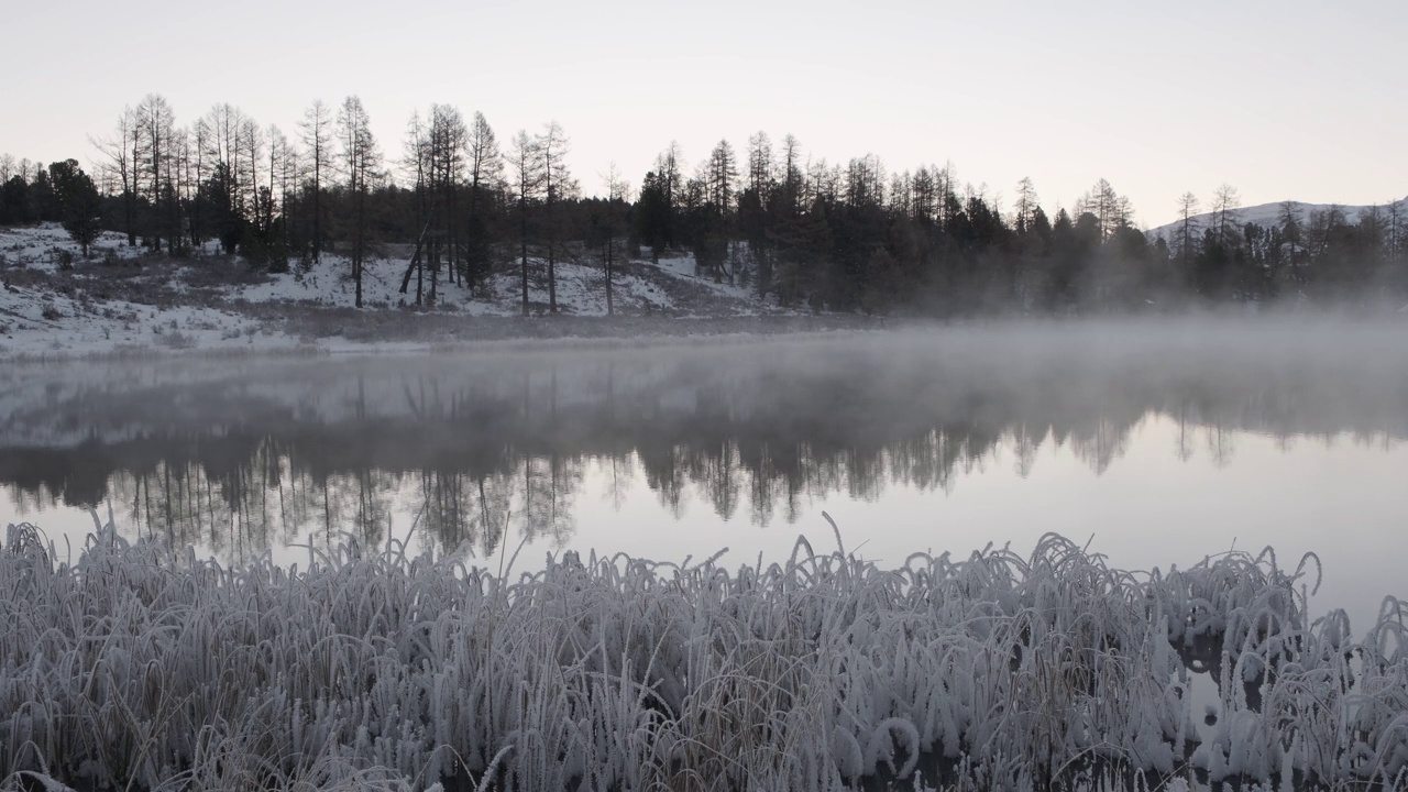 在森林和山脉的背景下，雾气在未结冰的湖面上蔓延视频下载