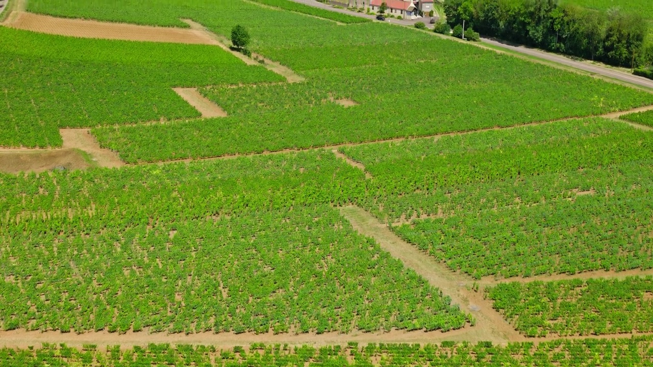 向上倾斜的无人机拍摄的葡萄园和村庄的萨维尼- l<e:1> -博恩视频下载