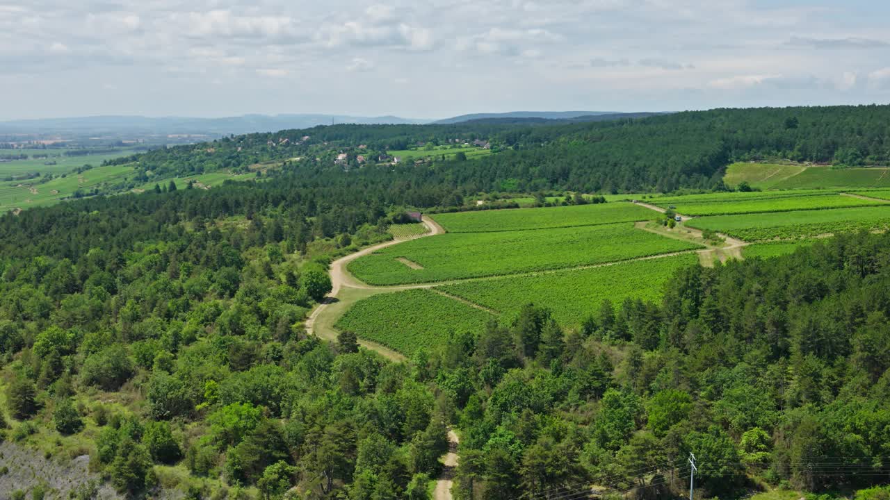 法国博恩附近的葡萄酒生产视频下载